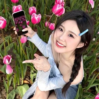 动画综艺